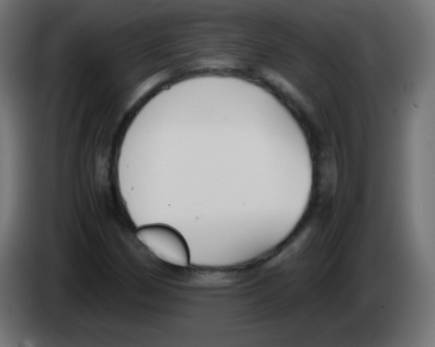 X0000083061162200703022127