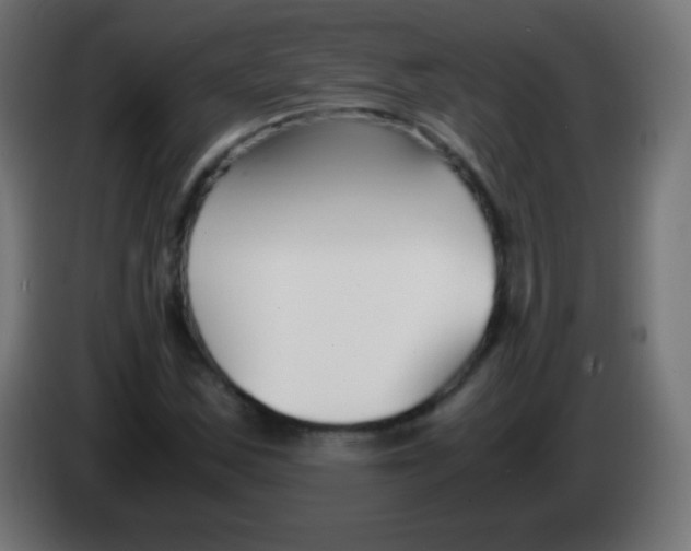 X0000083061163200703022127