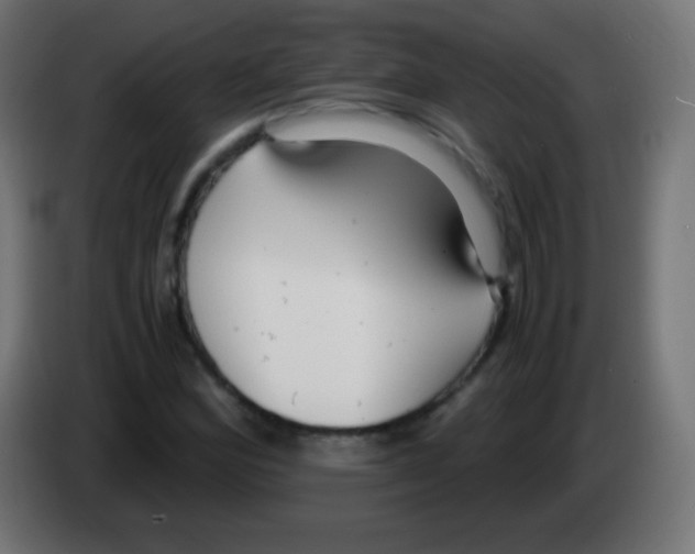 X0000083061164200703022127