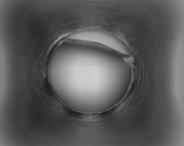 X0000083061165200703022127