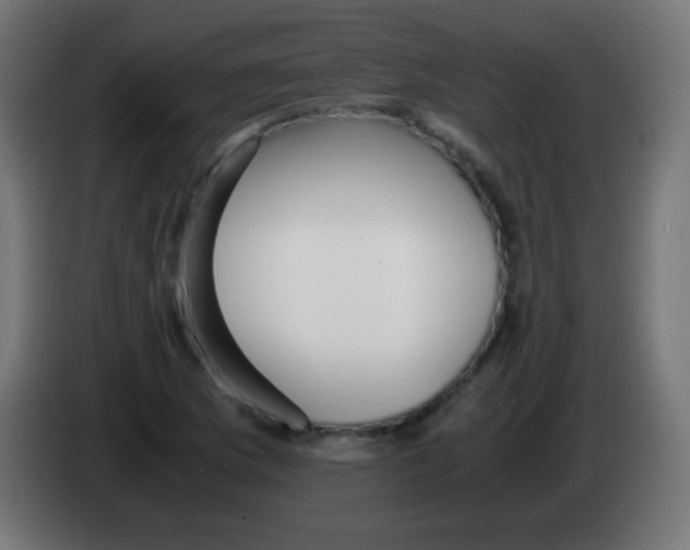 X0000083061169200703022127