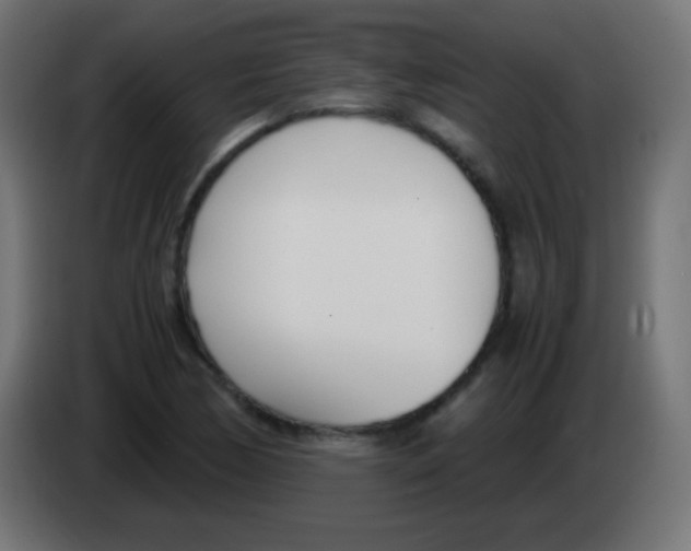 X0000083061170200703022127