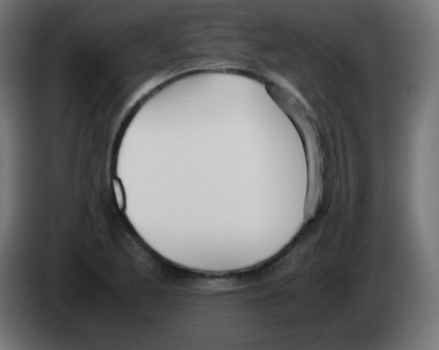 X0000083061173200703022127