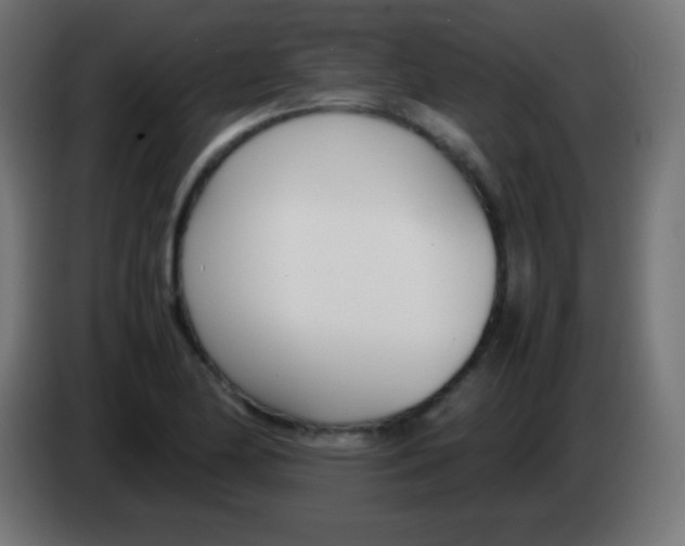 X0000083061174200703022127