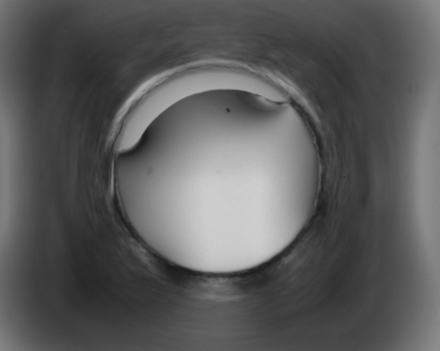 X0000083061175200703022127