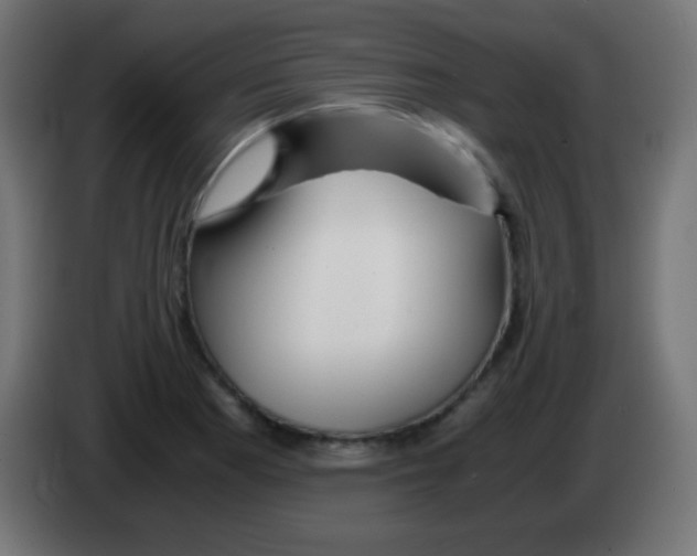 X0000083061177200703022127