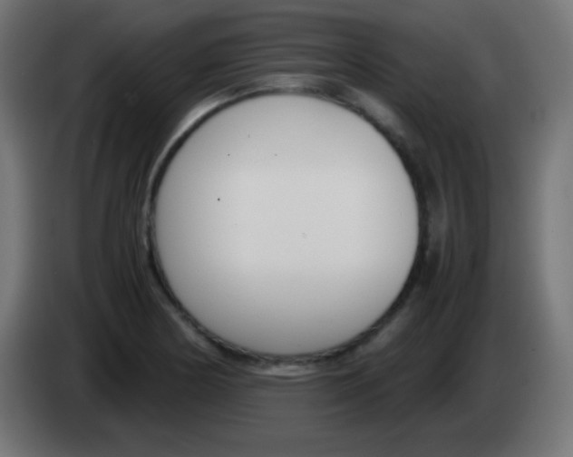 X0000083061178200703022127