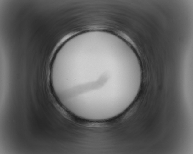 X0000083061179200703022127