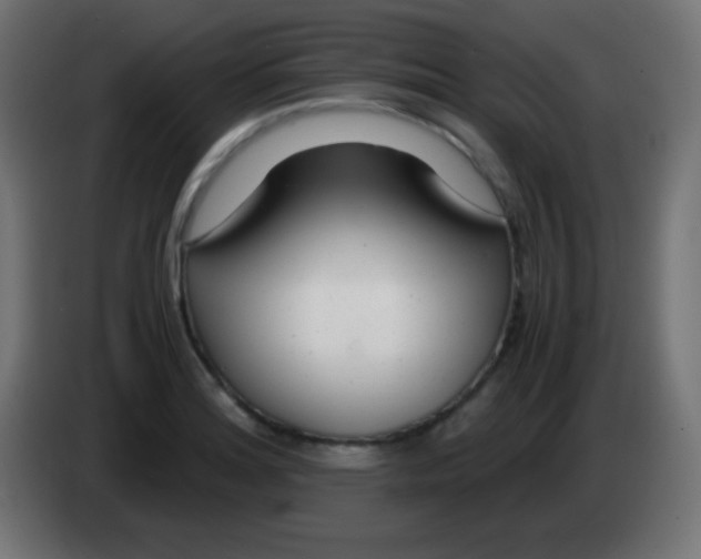 X0000083061180200703022127