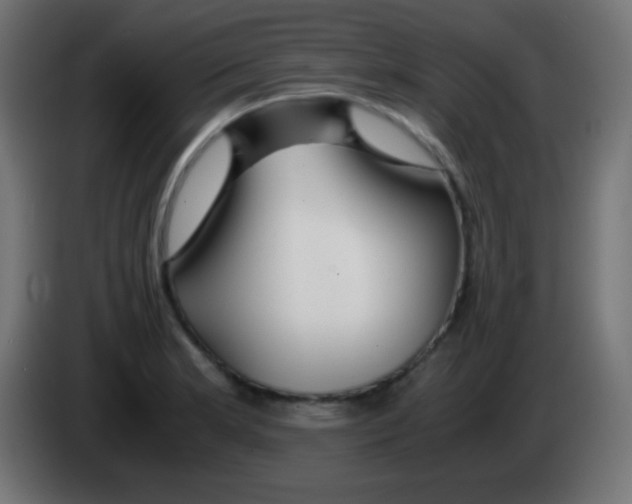 X0000083061181200703022127