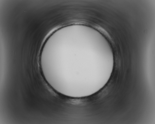 X0000083061182200703022127