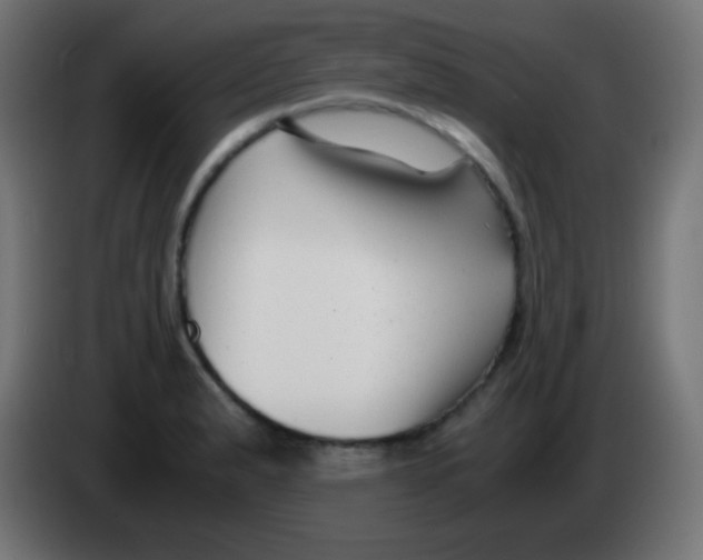 X0000083061183200703022127