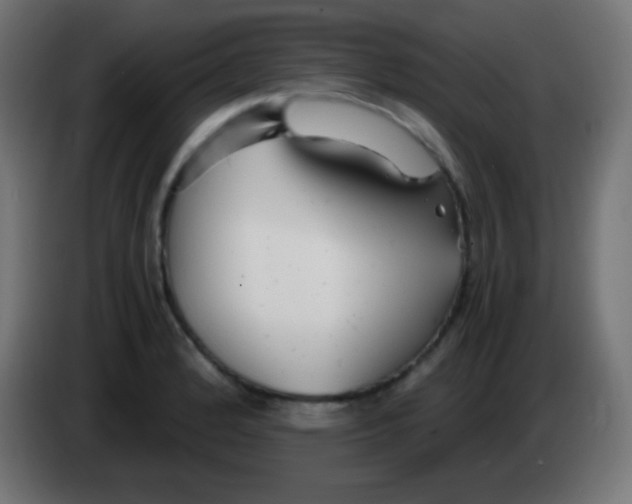 X0000083061184200703022127