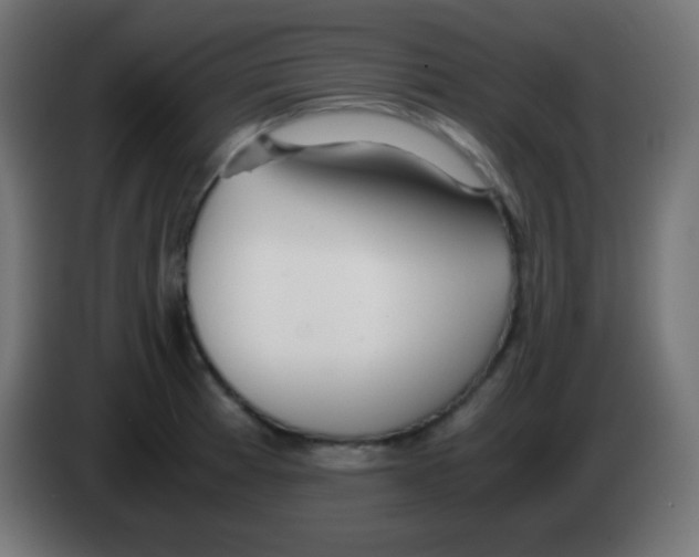 X0000083061185200703022127