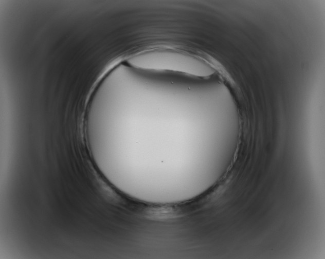 X0000083061186200703022127