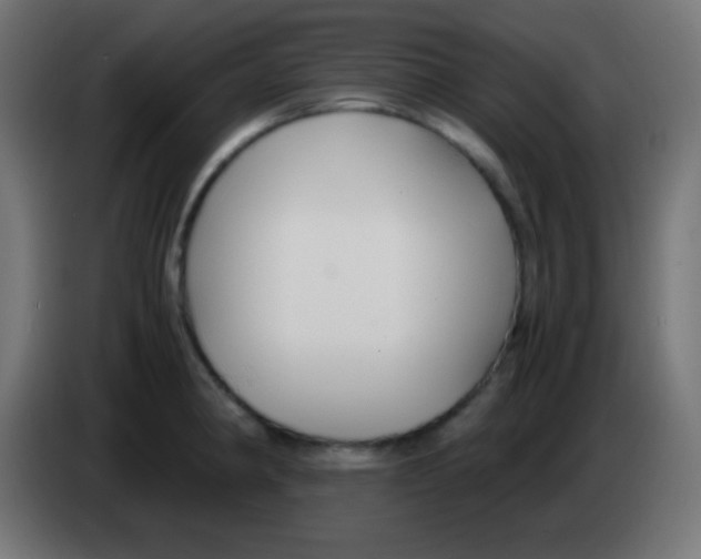 X0000083061190200703022127