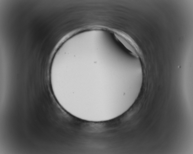 X0000083061191200703022126