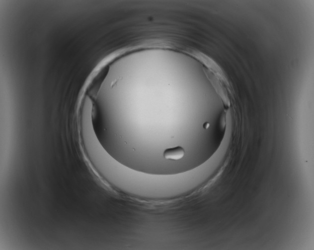 X0000083061192200703022126