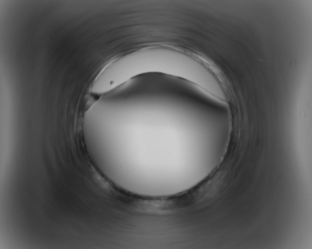 X0000083061193200703022126