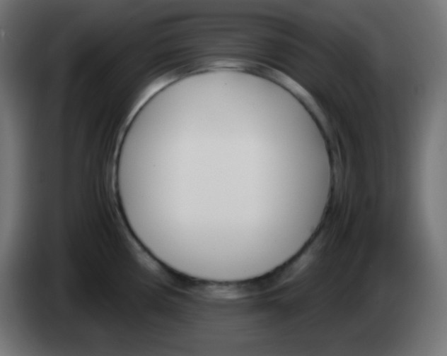 X0000083061194200703022126