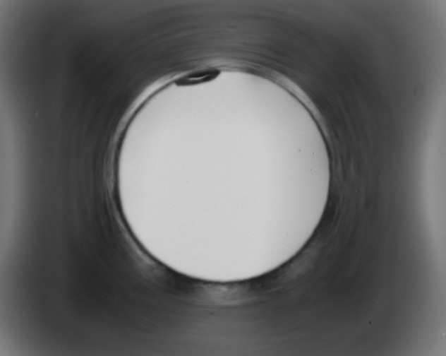 X0000083061195200703022126