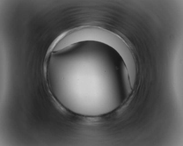 X0000083061196200703022126