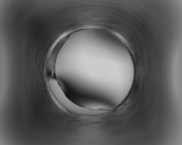 X0000083061197200703022126