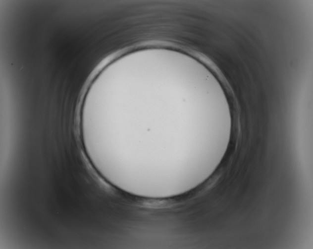 X0000083061199200703022126