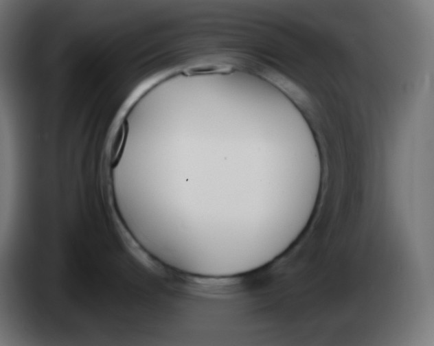 X0000083061200200703022126