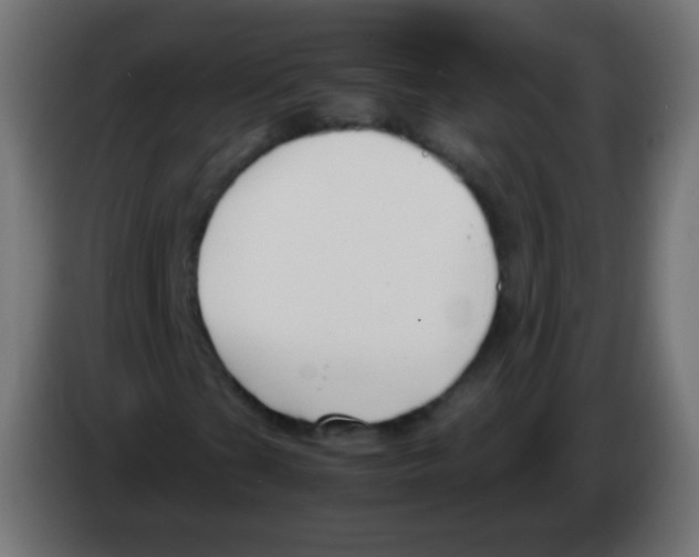 X0000083061201200703022126