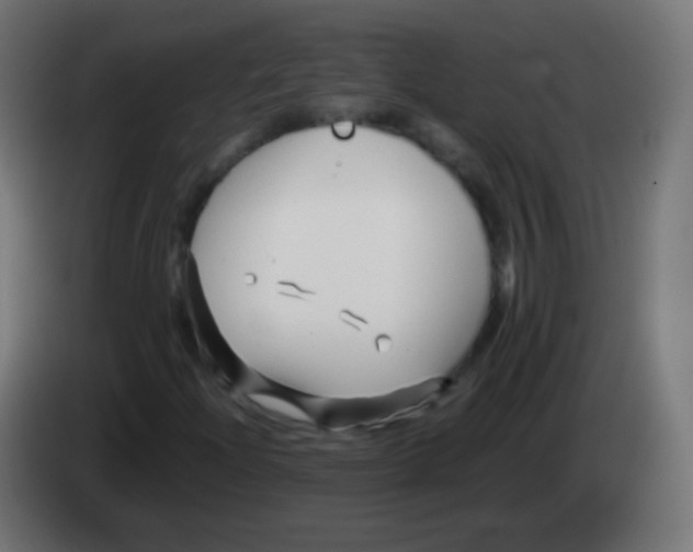 X0000083061204200703022126