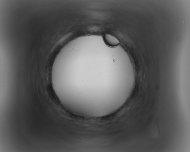 X0000083061205200703022126