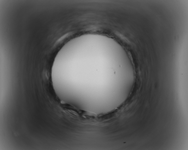 X0000083061206200703022126