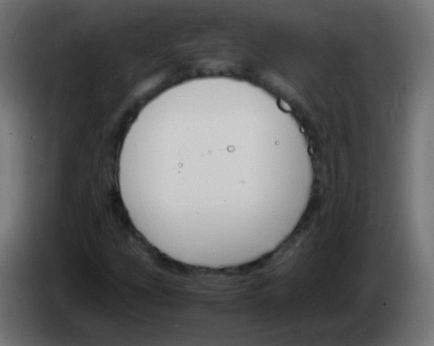 X0000083061207200703022126