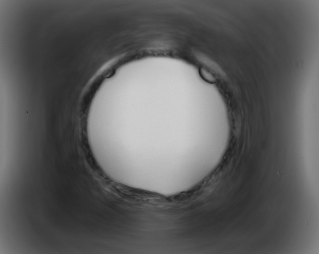 X0000083061208200703022126