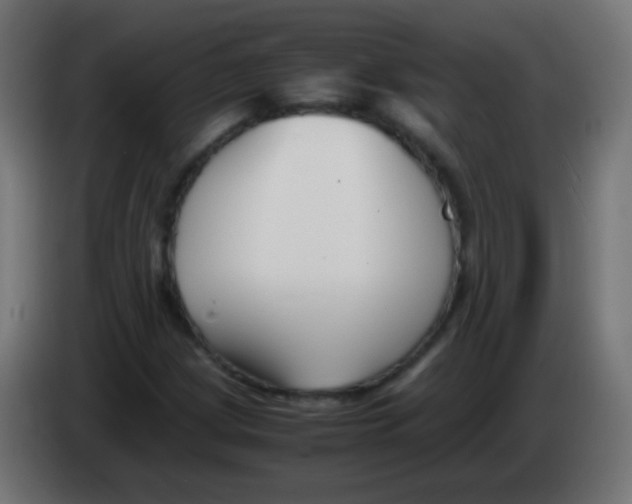 X0000083061209200703022126