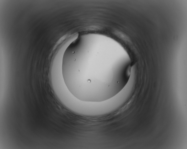 X0000083061210200703022126