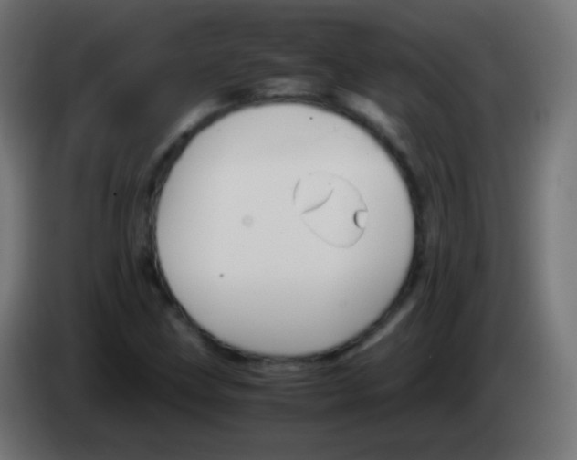 X0000083061211200703022126