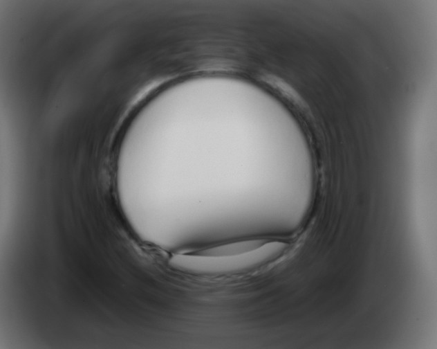 X0000083061212200703022126