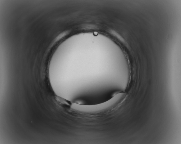 X0000083061213200703022126