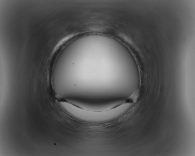 X0000083061214200703022126