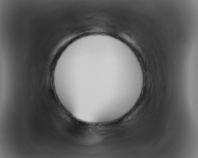 X0000083061215200703022126