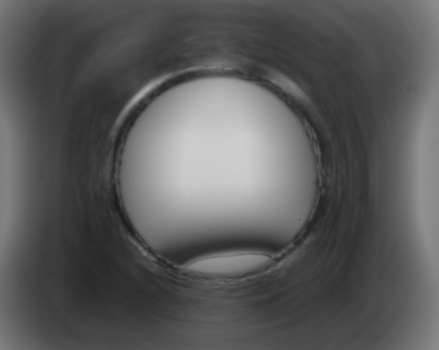 X0000083061216200703022126