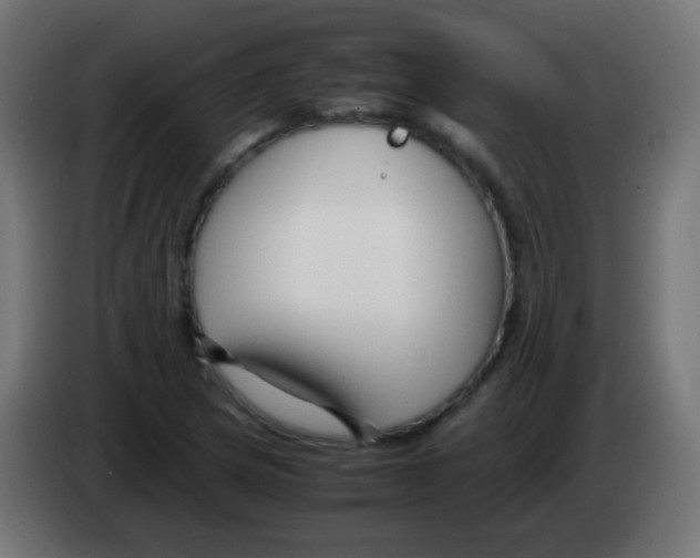 X0000083061217200703022126