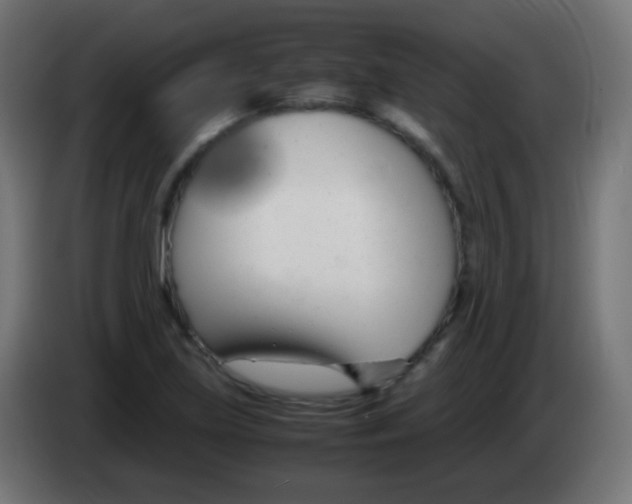 X0000083061219200703022126