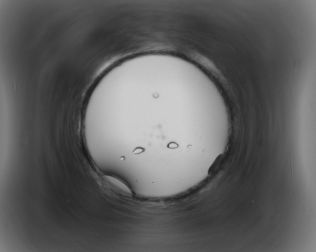 X0000083061220200703022126