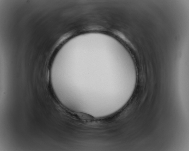 X0000083061221200703022126