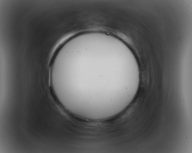 X0000083061223200703022126