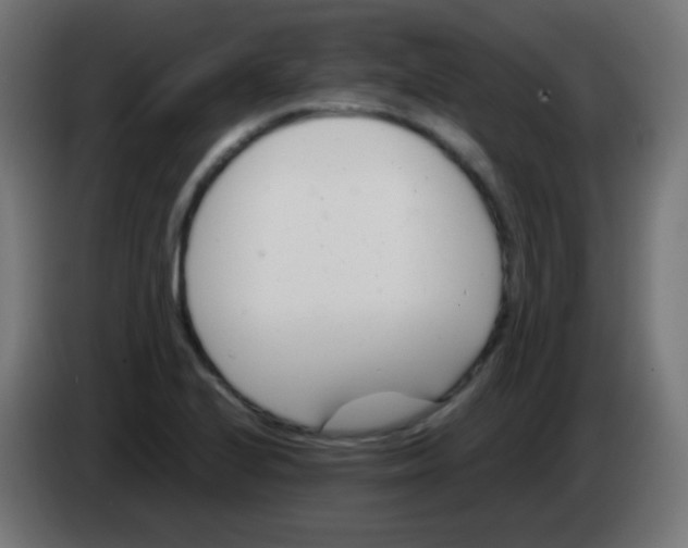 X0000083061224200703022126