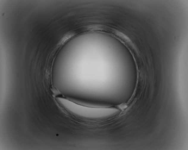 X0000083061225200703022126